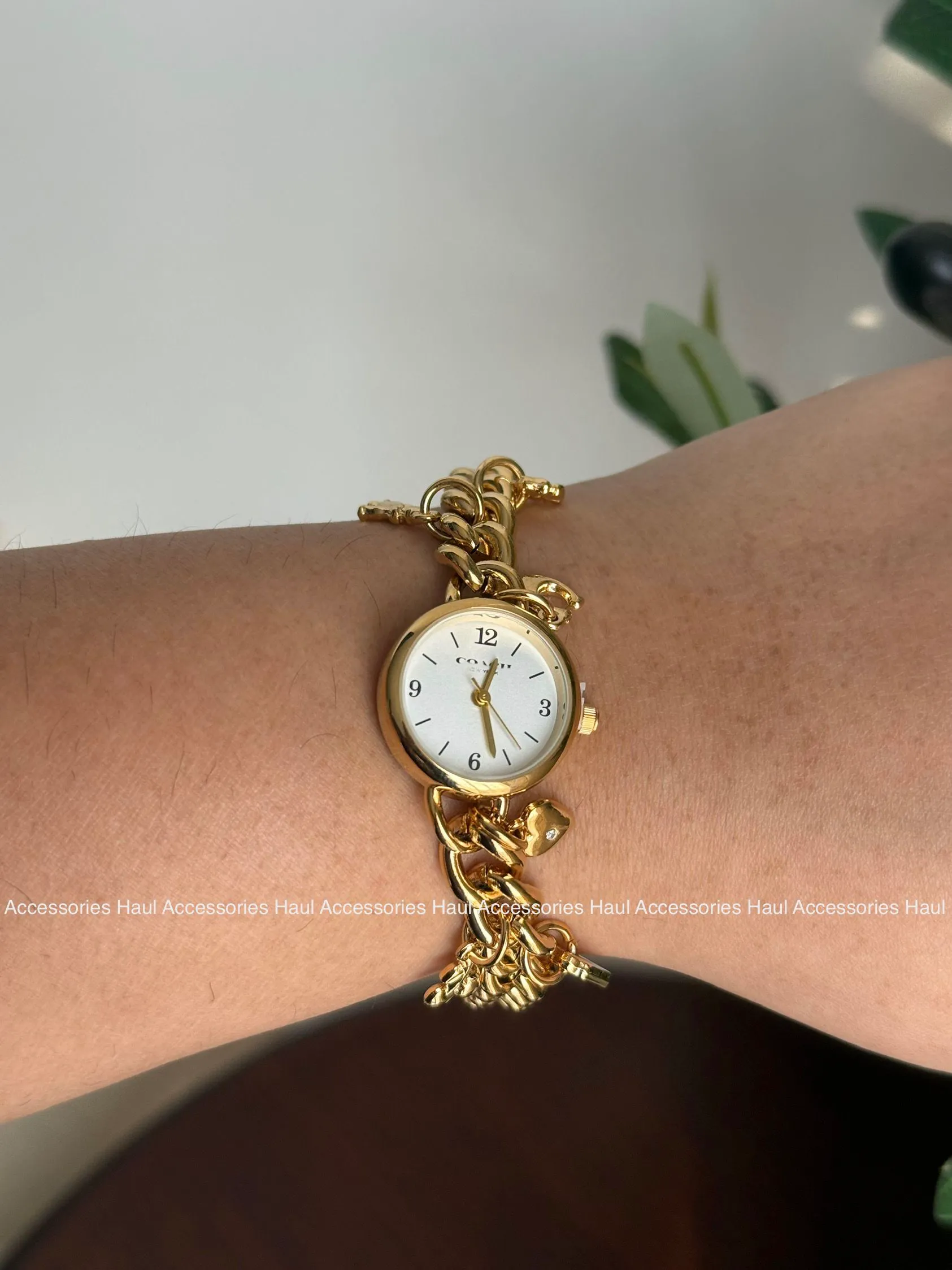 High Quality Watch CH3004